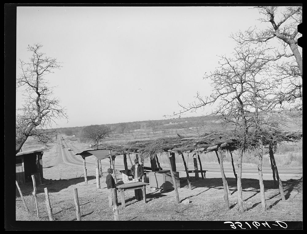 Vegetable stand at side of the highway. Farm of Pomp Hall,  tenant farmer. Creek County, Oklahoma. See general caption…