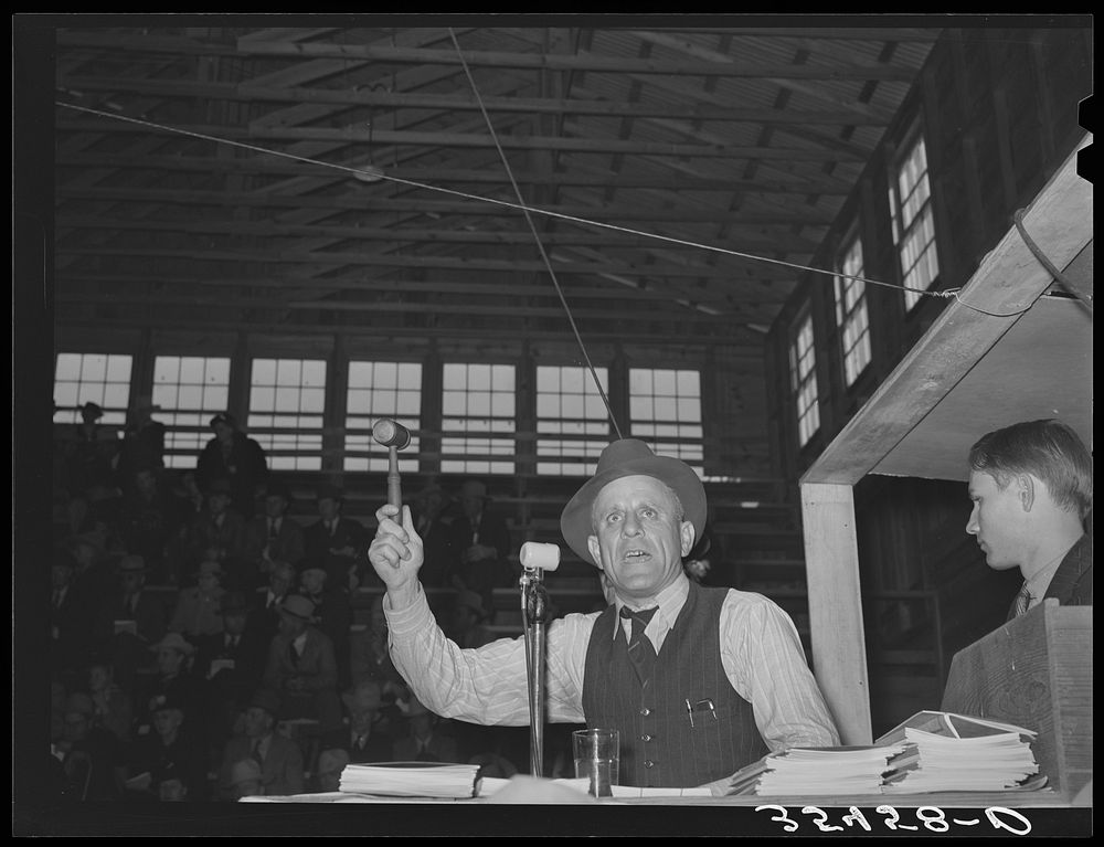 Auctioneer at sale of beef steers and breeding stock at San Angelo Fat Stock Show. San Angelo, Texas by Russell Lee