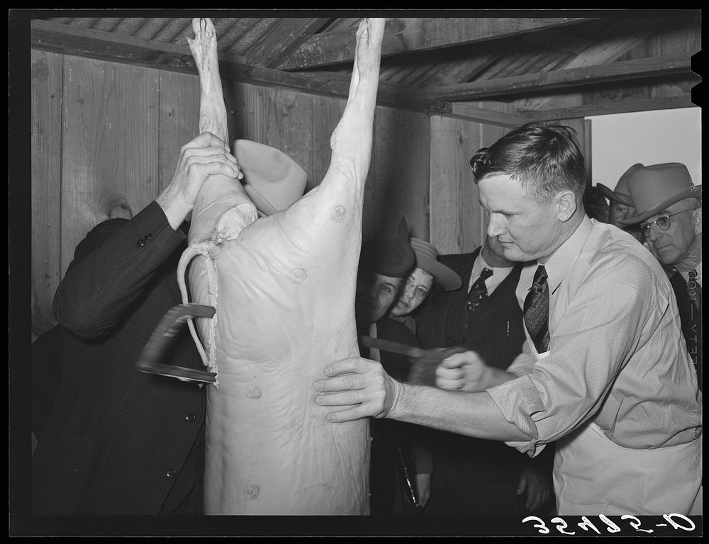 FSA (Farm Security Administration) supervisor sawing a hog in halves during a meat cutting demonstration at a district…
