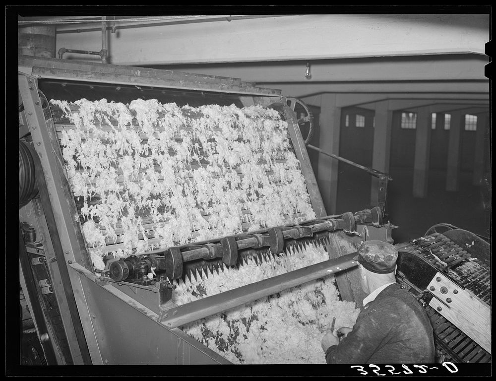 Freshly scoured wool entering drying | Free Photo - rawpixel