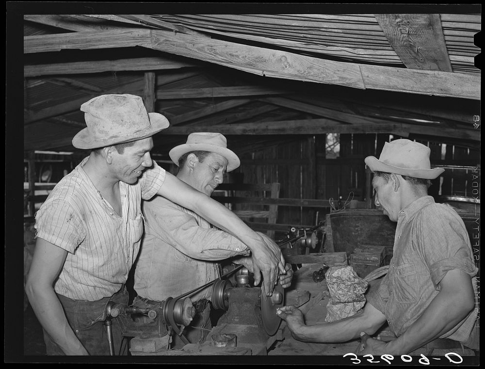 Sheep and goat shearers sharpening a blade while at work on a ranch of rehabilitation borrower in Kimble County, Texas by…