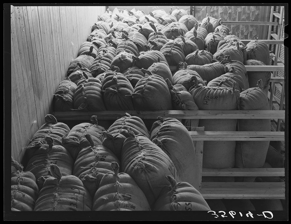 Sacks of wool and mohair in storage at the Kimble County Wool and Mohair Company Warehouse, Junction, Texas by Russell Lee