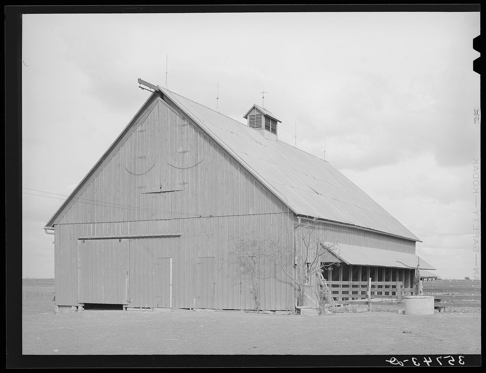 Barn on cotton farm in Travis County, Texas by Russell Lee