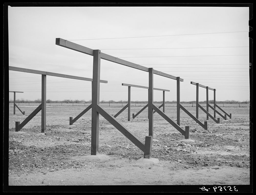 Clotheslines at the migratory labor camp. Sinton, Texas by Russell Lee