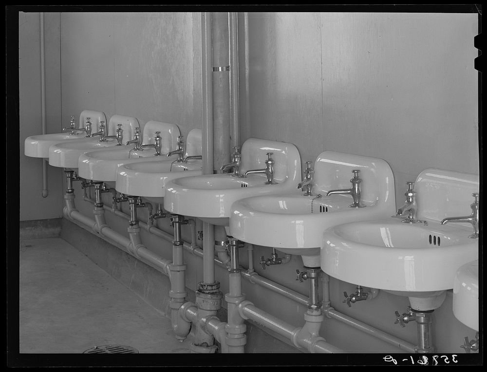 Wash basins in one of the sanitary units at the migratory labor camp, Sinton, Texas. These pictures were taken before the…