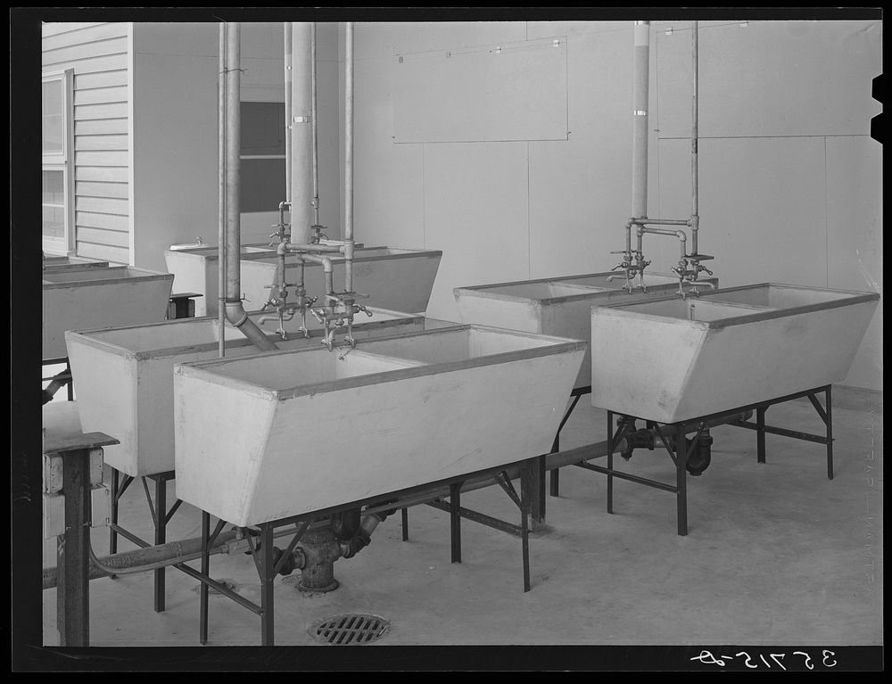 Laundry tubs at the migratory labor camp at Sinton, Texas by Russell Lee