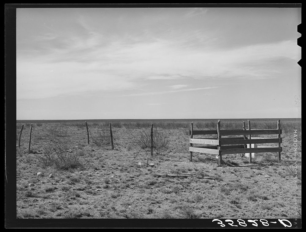 Grave on the high plains. Dawson County, Texas by Russell Lee