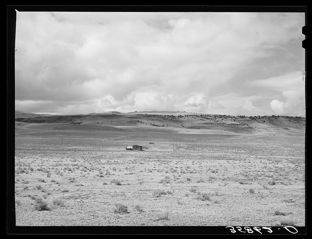 [Untitled photo, possibly related to: Isolated house on the range. Catron County, New Mexico] by Russell Lee