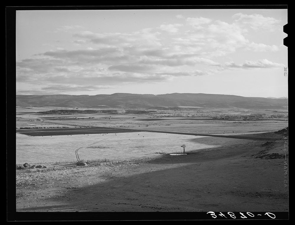 Range in the flood irrigation lands of the Little Colorado River Valley in Apache County near Springerville, Arizona by…