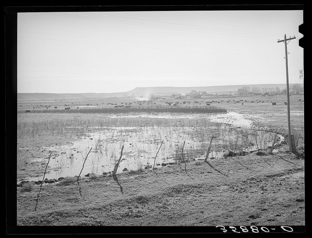 The start of flood irrigation on the hay fields in the valley of the Little Colorado River Valley. After these fields are so…