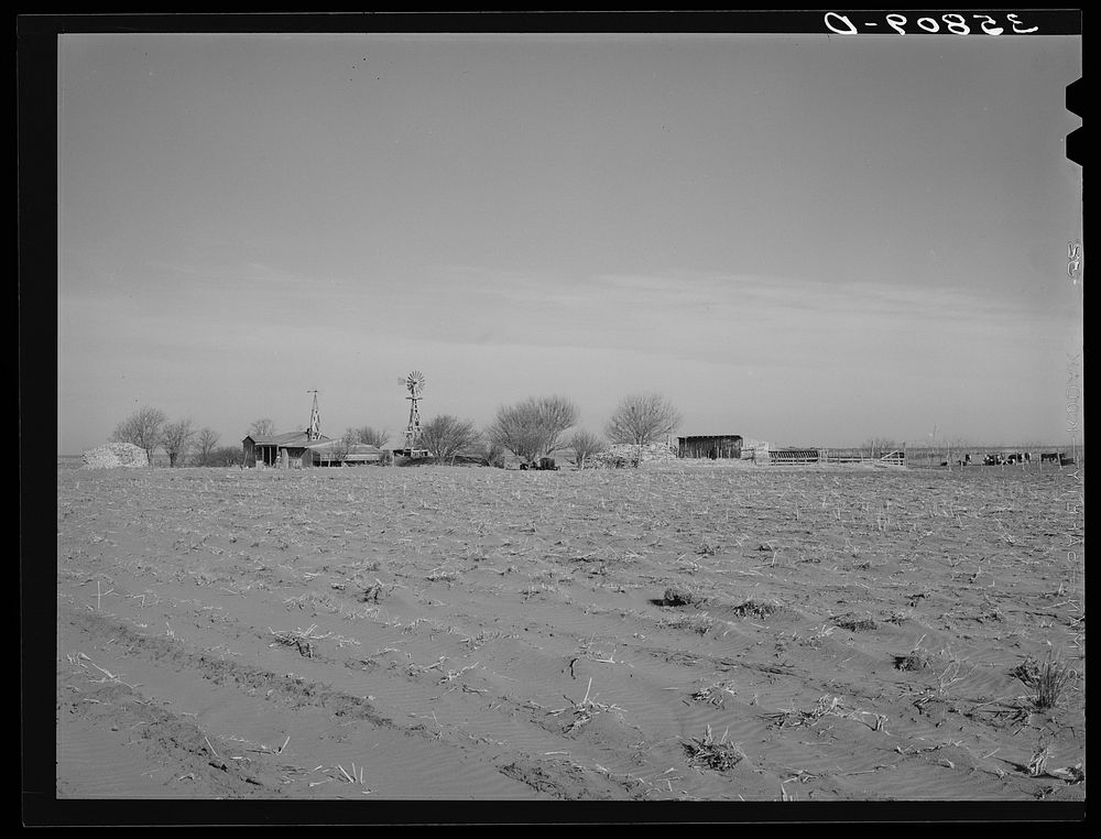 Farmstead in the high plains. Dawson County, Texas. Windblown field in the foreground by Russell Lee