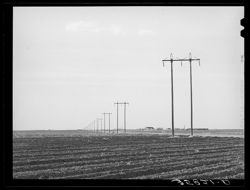 [Untitled photo, possibly related to: Power lines along highway in Dawson County, Texas] by Russell Lee