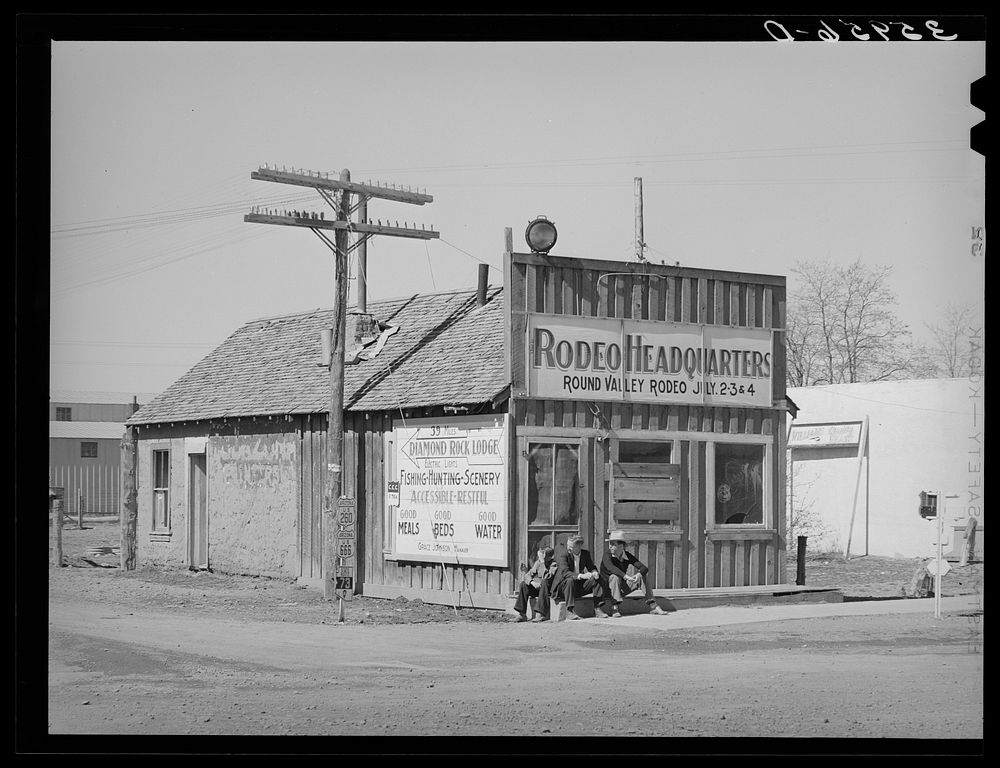 Building and signs. Springerville, Arizona by Russell Lee