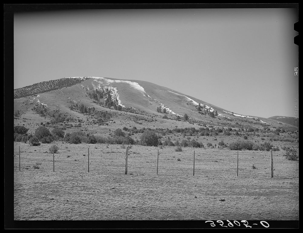[Untitled photo, possibly related to: Spring snow on mountains provide water for the range below. Apache County, near…