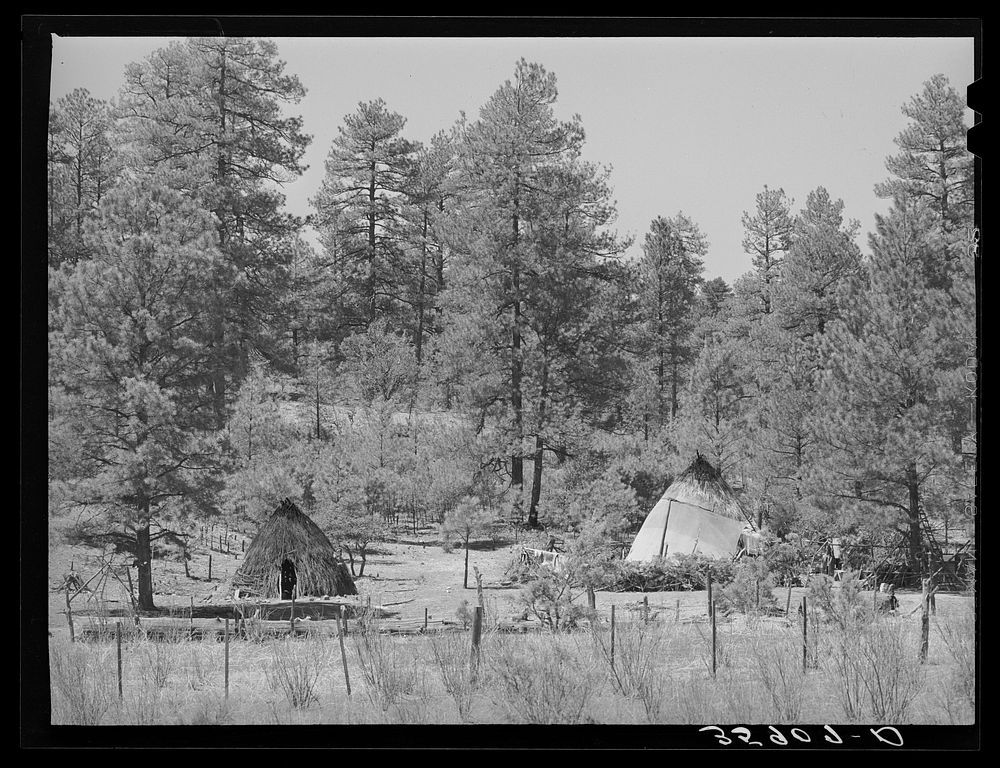 Wickiups of the Apache Indians who tend small fields of corn, squash and grass in the Apache National Forest. Navajo County…