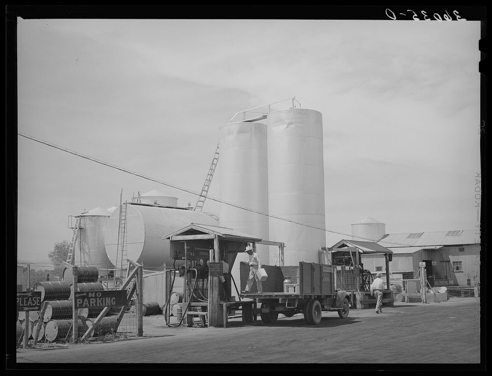 [Untitled photo, possibly related to: Gasoline is bought in tank car lots for sale to the members of the United Producers…