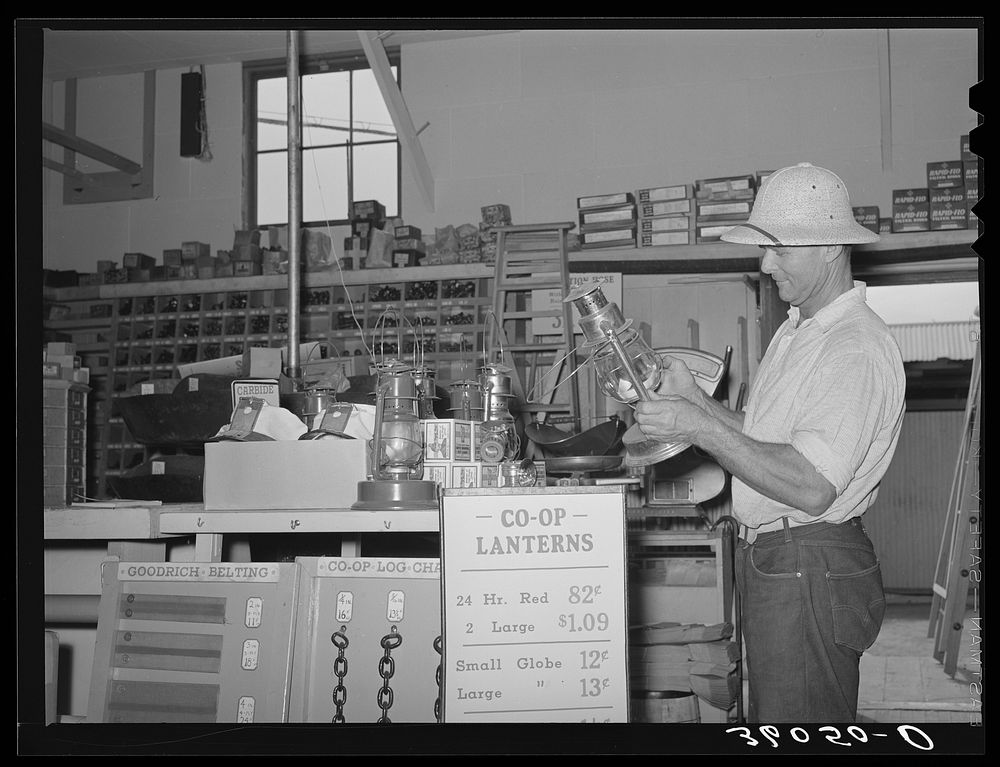 Member of the United Producers and Consumers Cooperative looking at a lantern in the store of the organization. Phoenix…