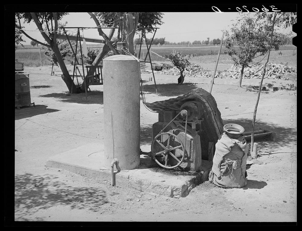 Electric pump system and wet cloth-covered milk can on farm of FSA (Farm Security Administration) rehabilitation borrower.…