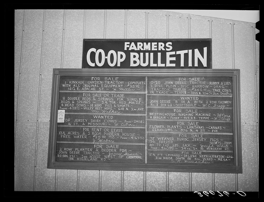 Bulletin board for the United Producers and Consumers Cooperative. Phoenix, Arizona by Russell Lee