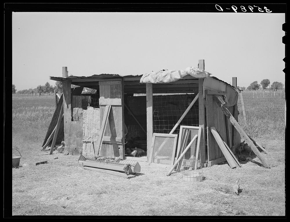 Chicken house of FSA (Farm Security Administration) rehabilitation borrower in Maricopa County, Arizona by Russell Lee