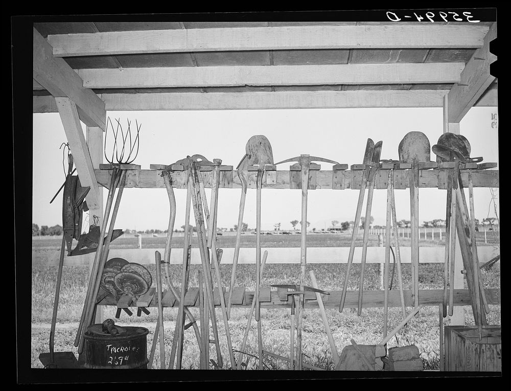 Group of hand farm implements at the Arizona part-time farms. Chandler Unit, Maricopa County by Russell Lee