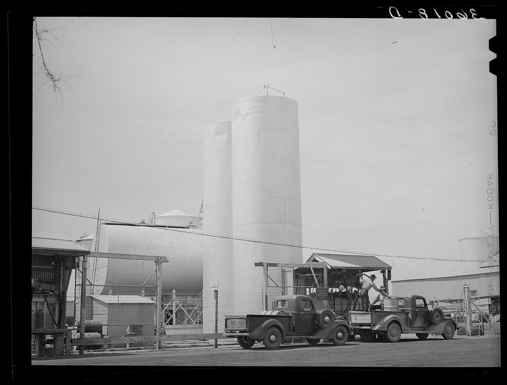 Gasoline is bought in tank car lots for sale to the members of the United Producers and Consumers Cooperative. Phoenix…