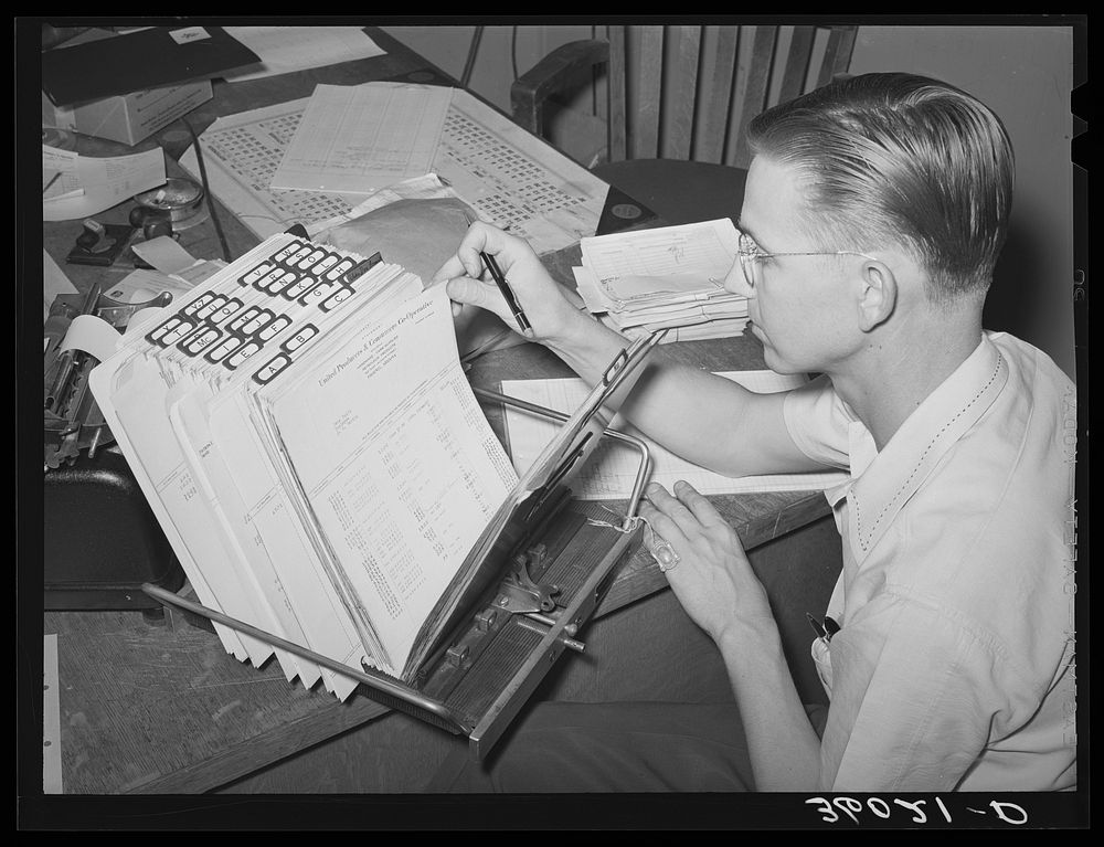 Officer of the United Producers and Consumers Cooperative examining books of the organization. Phoenix, Arizona by Russell…