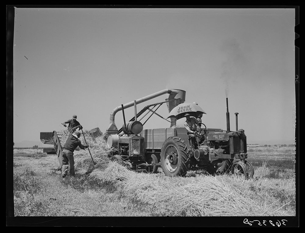 Combined hay picker-upper and chopper developed by members of the Casa Grande Valley Farms, Pinal County, Arizona, with the…