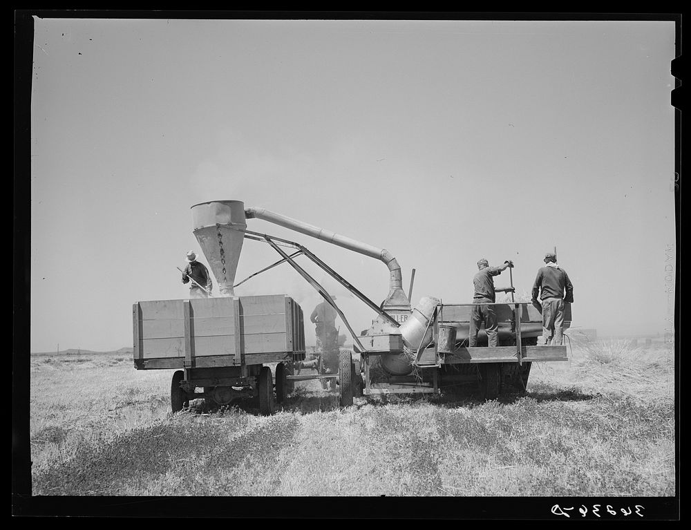 Combined hay picker-upper and chopper developed by members of the Casa Grande Valley Farms, Pinal County, Arizona, with the…