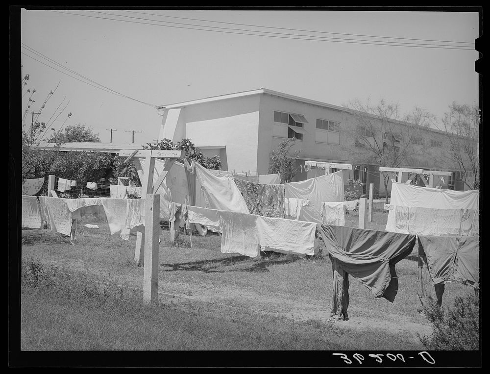 Backyard of apartment at the Arizona part-time farms. Maricopa County, Arizona by Russell Lee