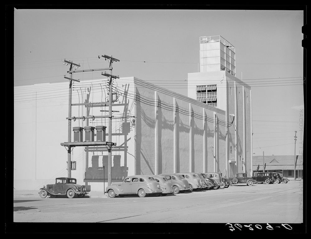 Warehouse of the cooperative citrus growers association. Phoenix, Arizona by Russell Lee
