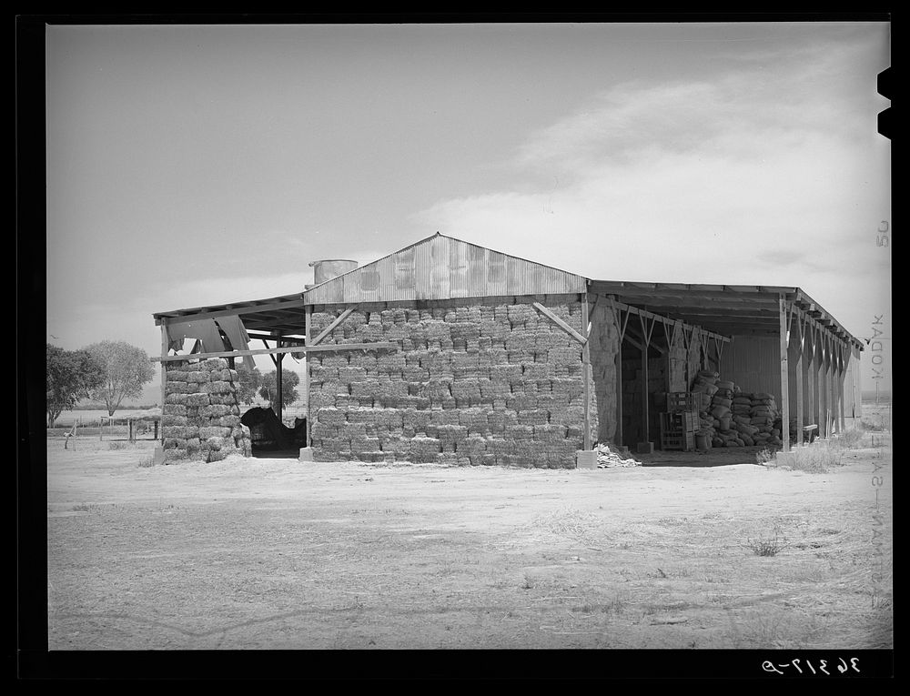 Baled hay for feed at the Casa Grande Valley Farms. Pinal County, Arizona by Russell Lee
