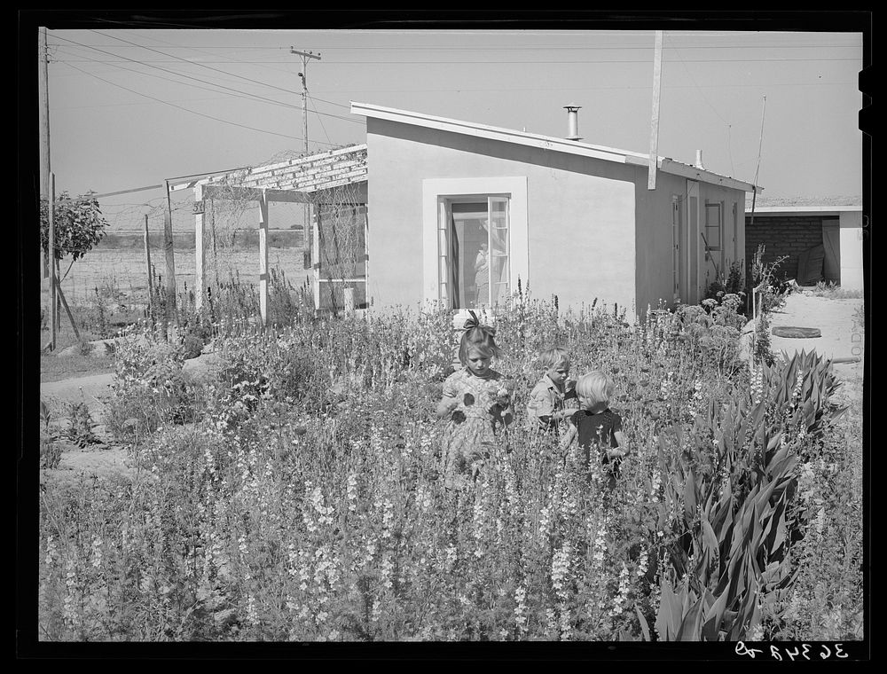 Children picking flowers in garden in front of their home at the Casa Grande Valley Farms. Pinal County, Arizona by Russell…
