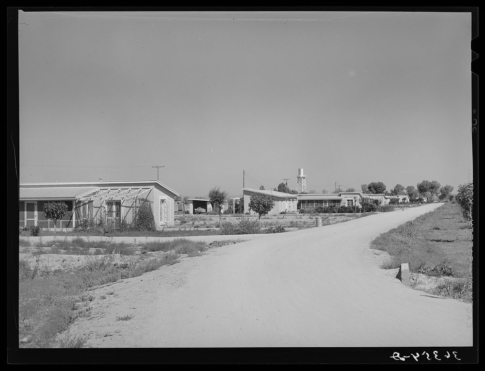 Row of houses at the Casa Grande Valley Farms. Pinal County, Arizona by Russell Lee