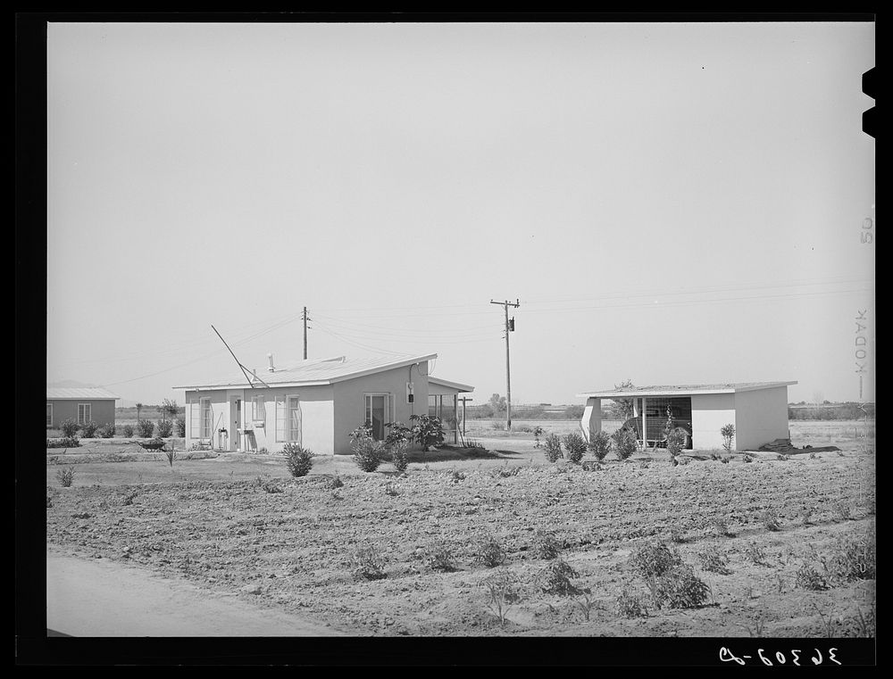 House and garage with garden in foreground at the Casa Grande Valley Farms. Pinal County, Arizona by Russell Lee