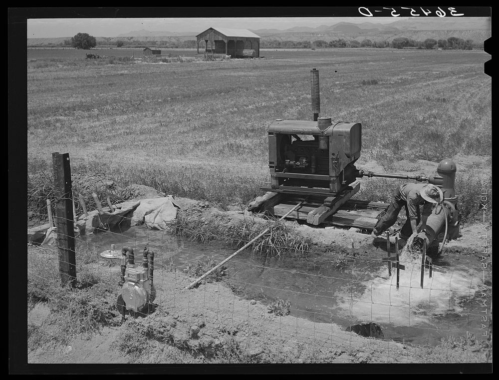 Water for irrigation is pumped in farming section of Solomonsville, Arizona. Crops here are cotton, alfalfa, corn and small…