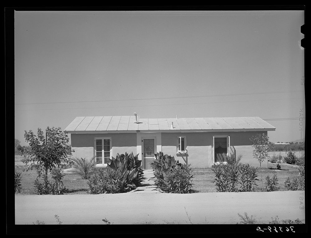 Back of house at the Casa Grande Valley Farms. Pinal County, Arizona by Russell Lee
