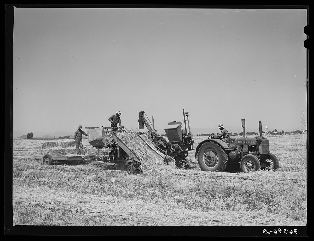 Hay picker-up and chopper at the Casa Grande Valley Farms. Pinal County, Arizona by Russell Lee