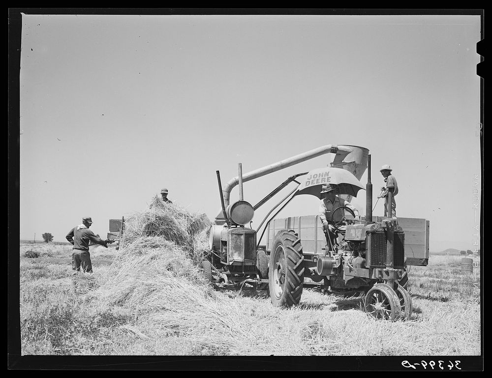 Hay machine at the Casa Grande Valley Farms. Pinal County, Arizona by Russell Lee