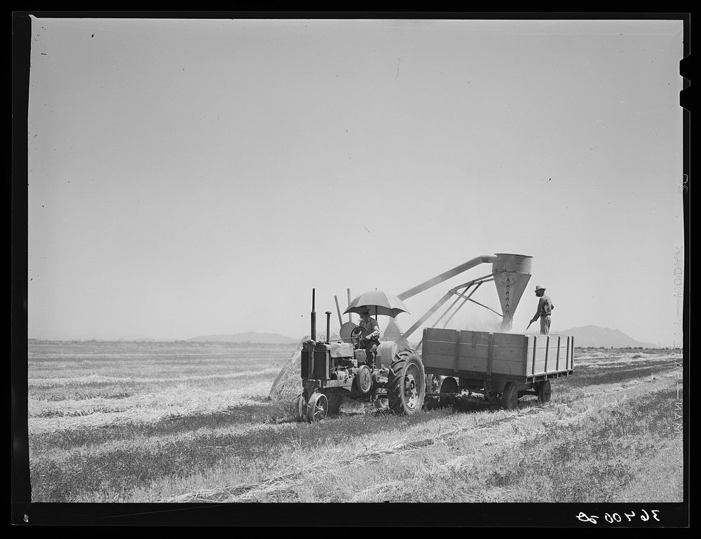 Hay machine at the Casa Grande Valley Farms. Pinal County, Arizona by Russell Lee