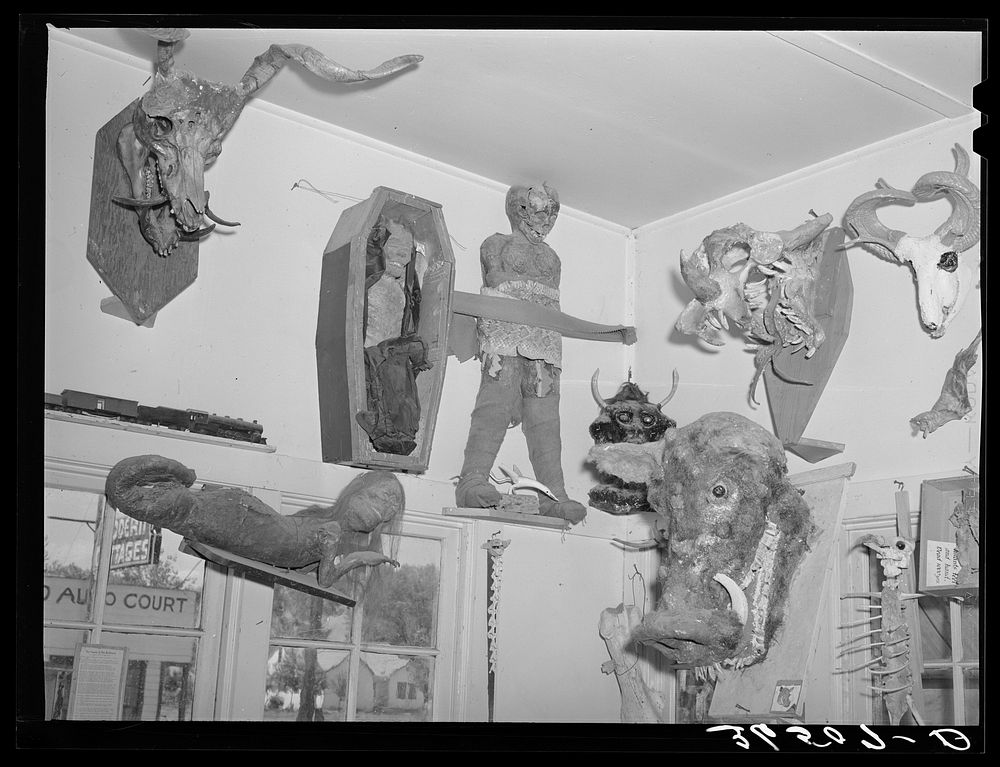 Mummies and heads, creations of Homer Tate. Safford, Arizona by Russell Lee