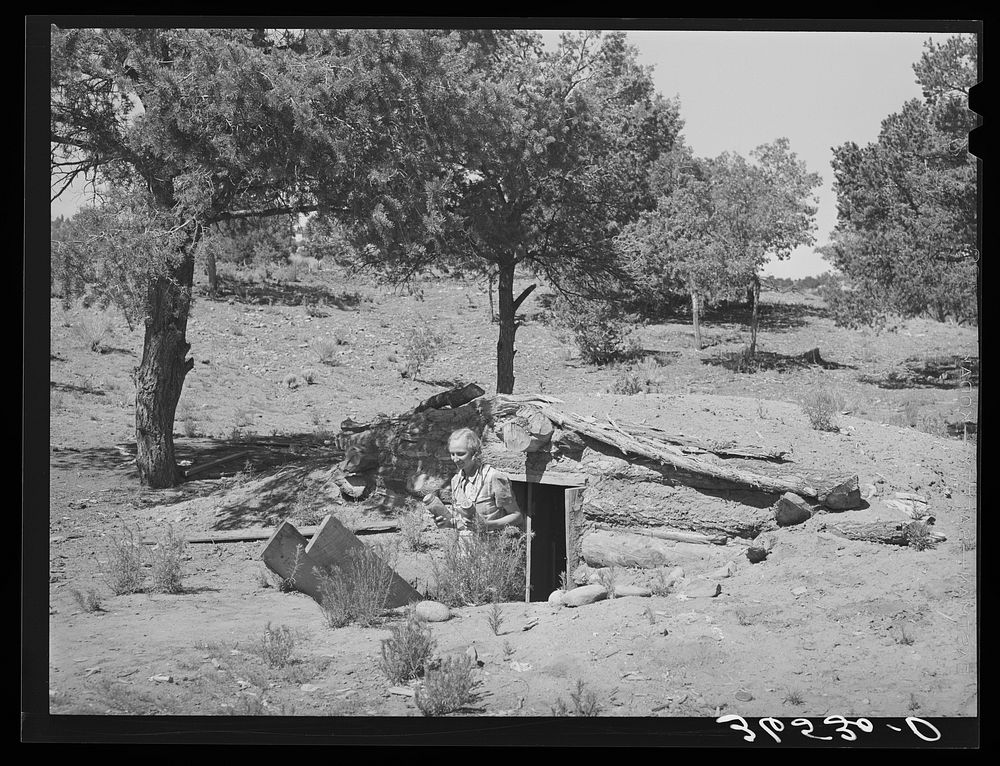 Mrs. Faro Caudill bringing cans of fruit out of dugout cellar. Pie Town, New Mexico. Nearly every farm has these storage…