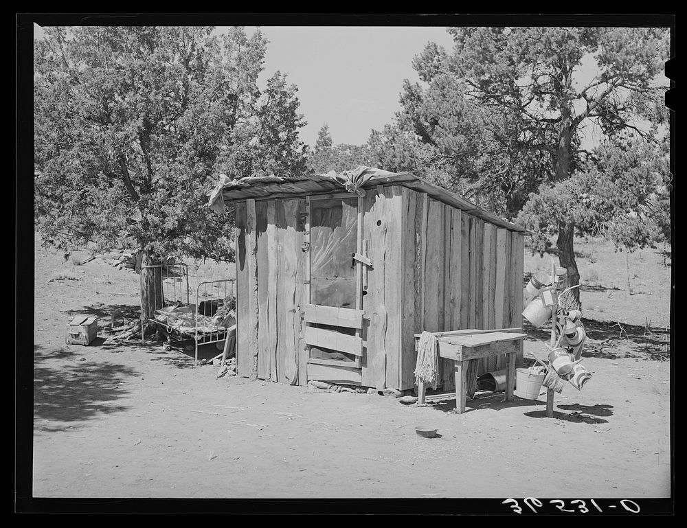 Shed on the homestead farm of Faro Caudill. Pie Town, New Mexico by Russell Lee