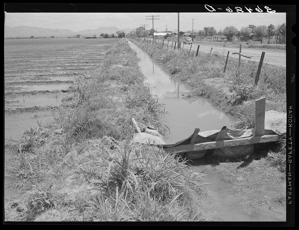 Irrigation ditch. Solomonsville, Graham County, Arizona by Russell Lee