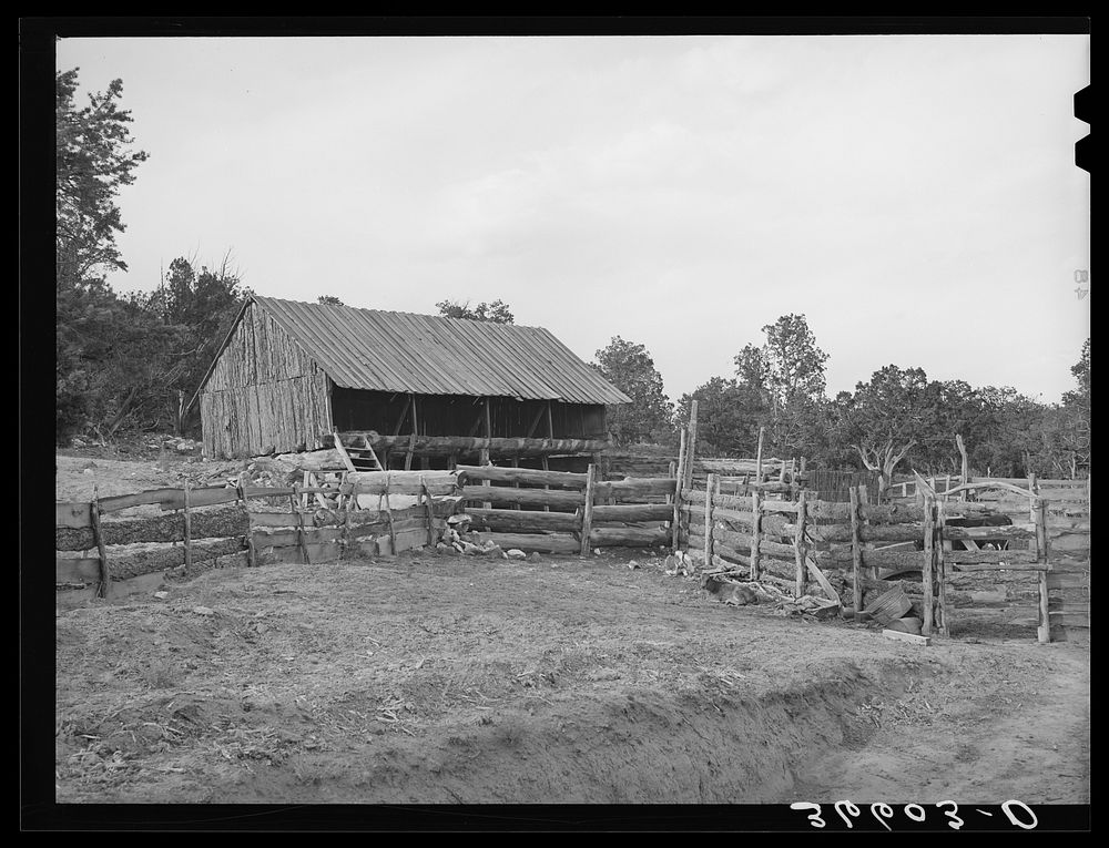 [Untitled photo, possibly related to: Slab fence and barn of homesteader at Pie Town, New Mexico] by Russell Lee