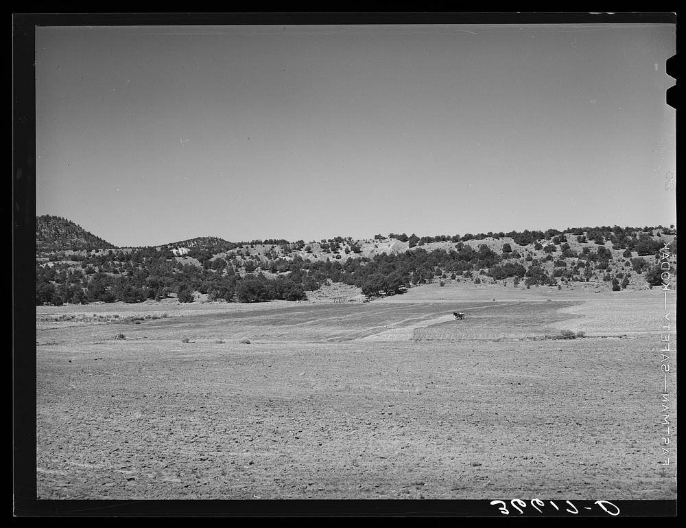 Plowing farmland. Pie Town, New Mexico by Russell Lee