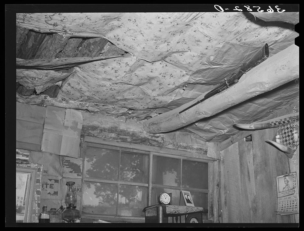 Detail of window and ceiling in dugout of Faro Caudill. Pie Town, New Mexico by Russell Lee