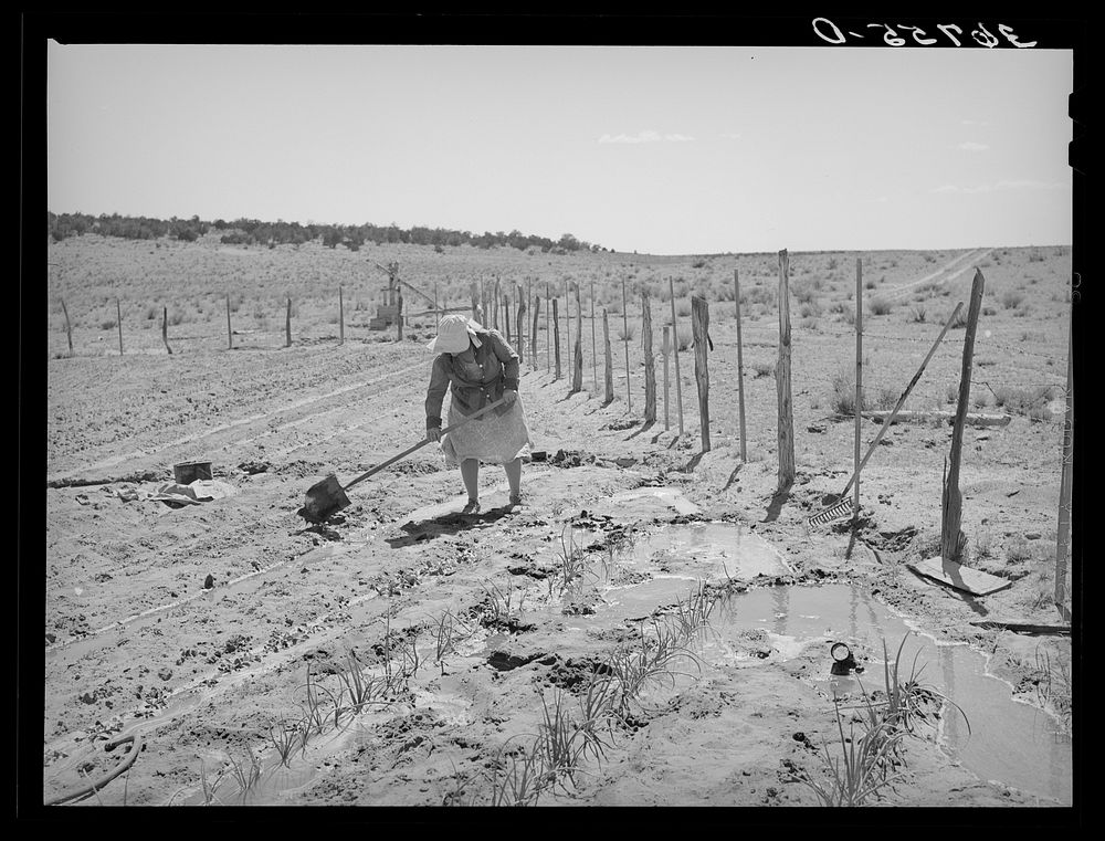 Mrs. George Hutton irrigating her garden. The Huttons have ample water at their farm. This was the only irrigated garden…
