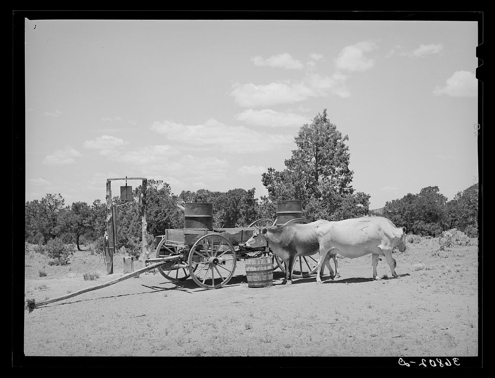 Farm scene. Pie Town, New Mexico by Russell Lee