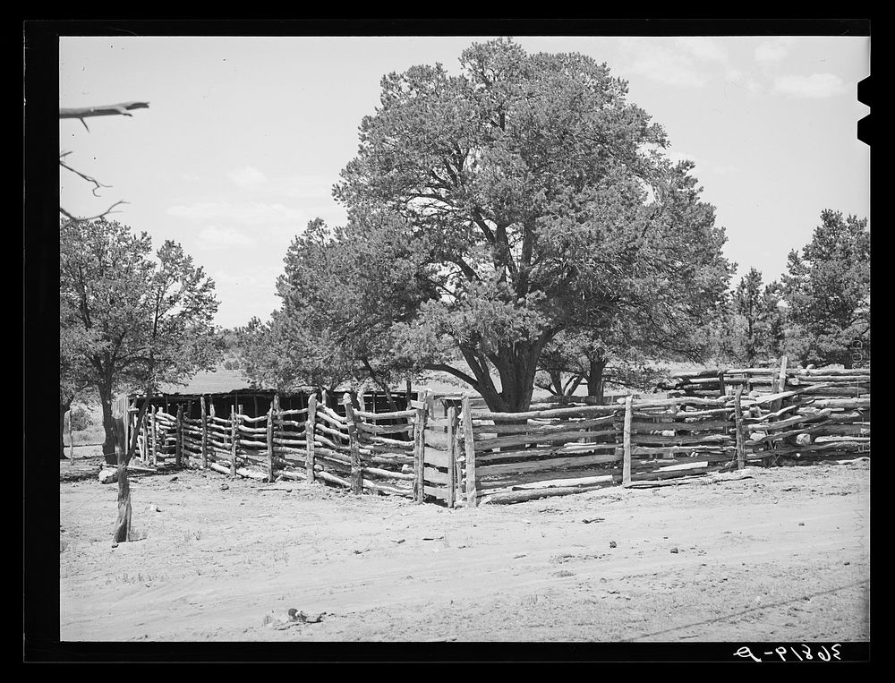 Corral made of poles. Pie Town, New Mexico by Russell Lee